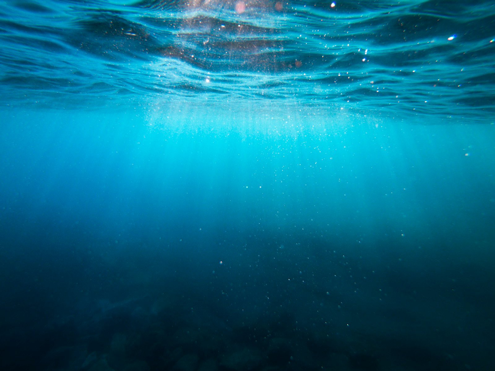 Sunlight streaming through clear Red Sea water