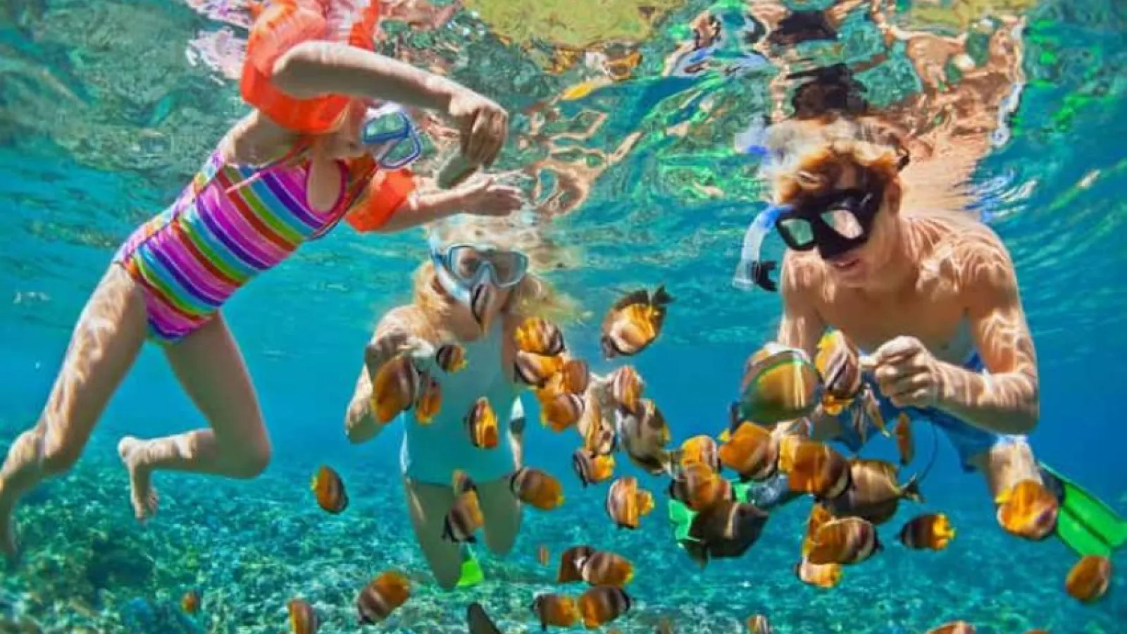 Family snorkeling among orange butterflyfish over a Red Sea coral reef near Hurghada