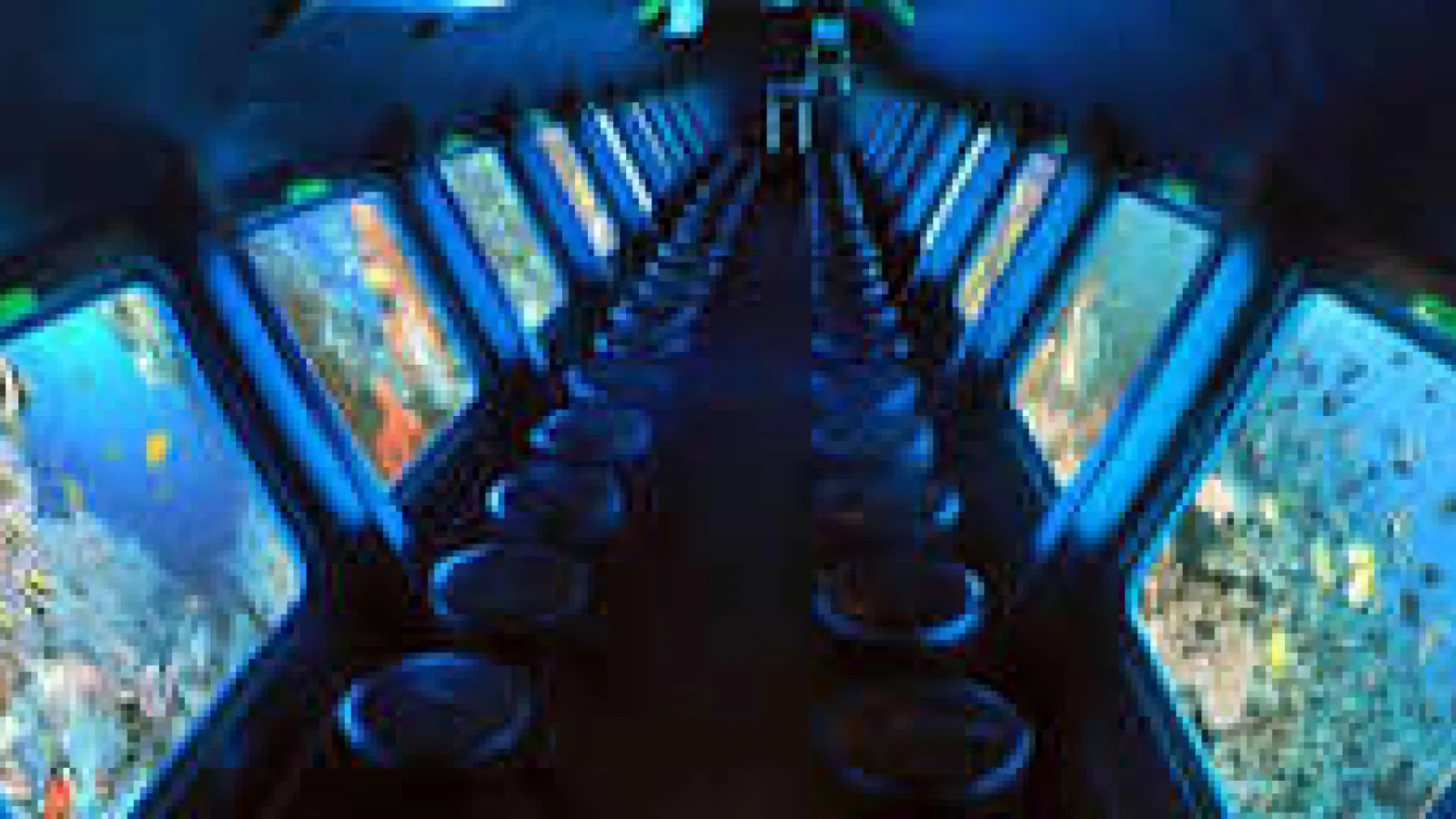 Rows of seats along the viewing windows inside the Seascope underwater cabin