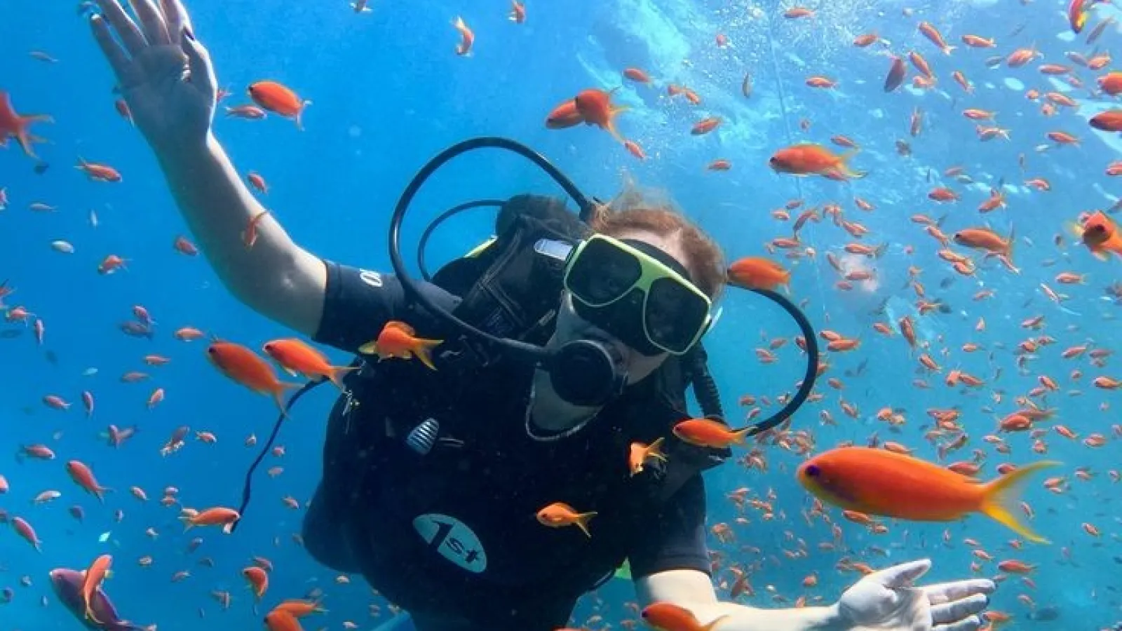 Beginner scuba diver waving among swarms of orange anthias in the Red Sea