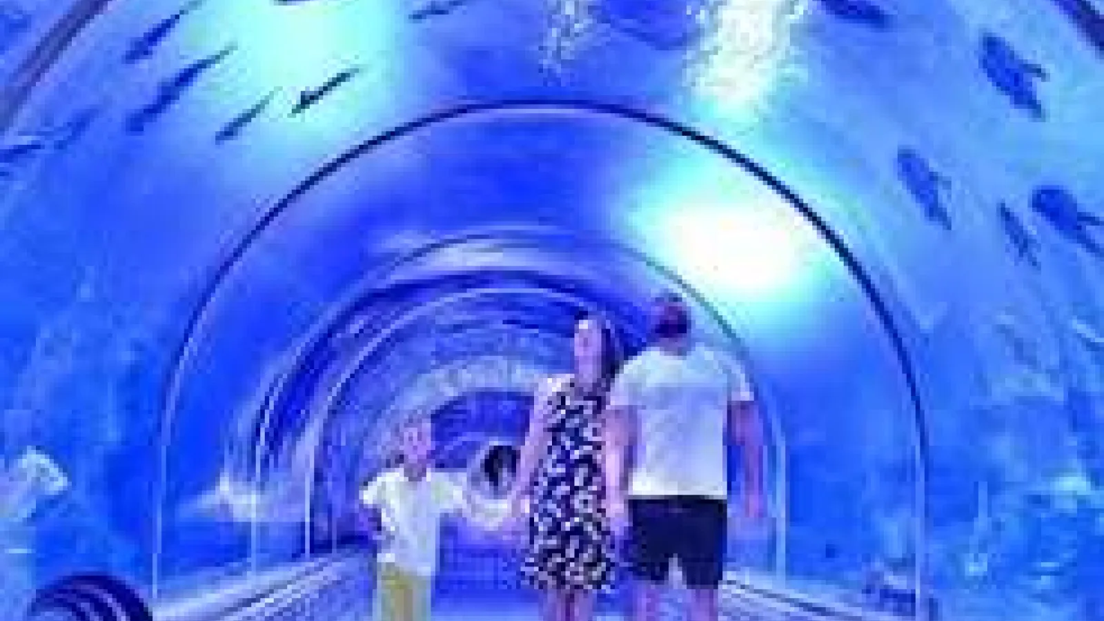 Family walking through the underwater tunnel of the Grand Aquarium, Hurghada