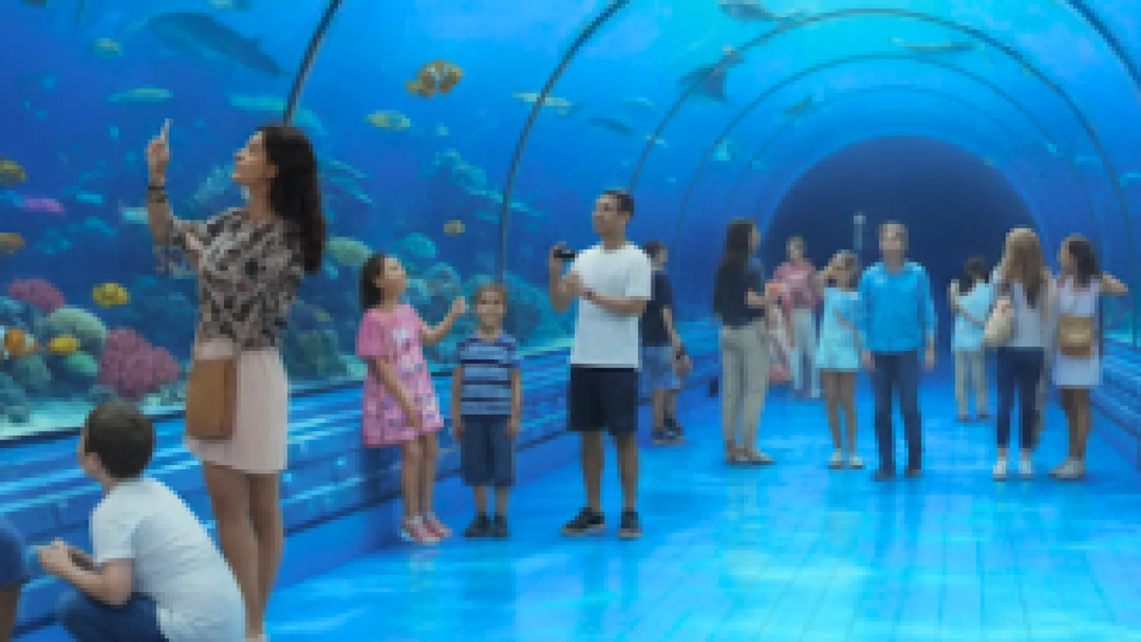 Visitors watching sharks and reef fish from the underwater tunnel of the Grand Aquarium
