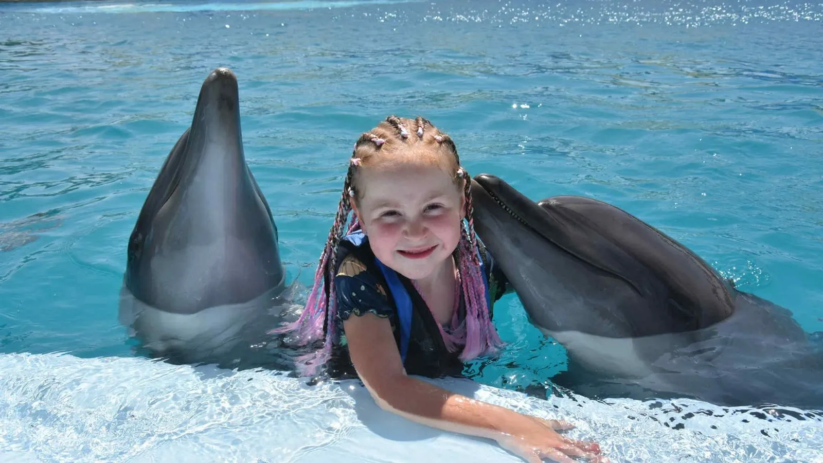 Girl hugging two dolphins at the pool edge of the dolphinarium near Hurghada