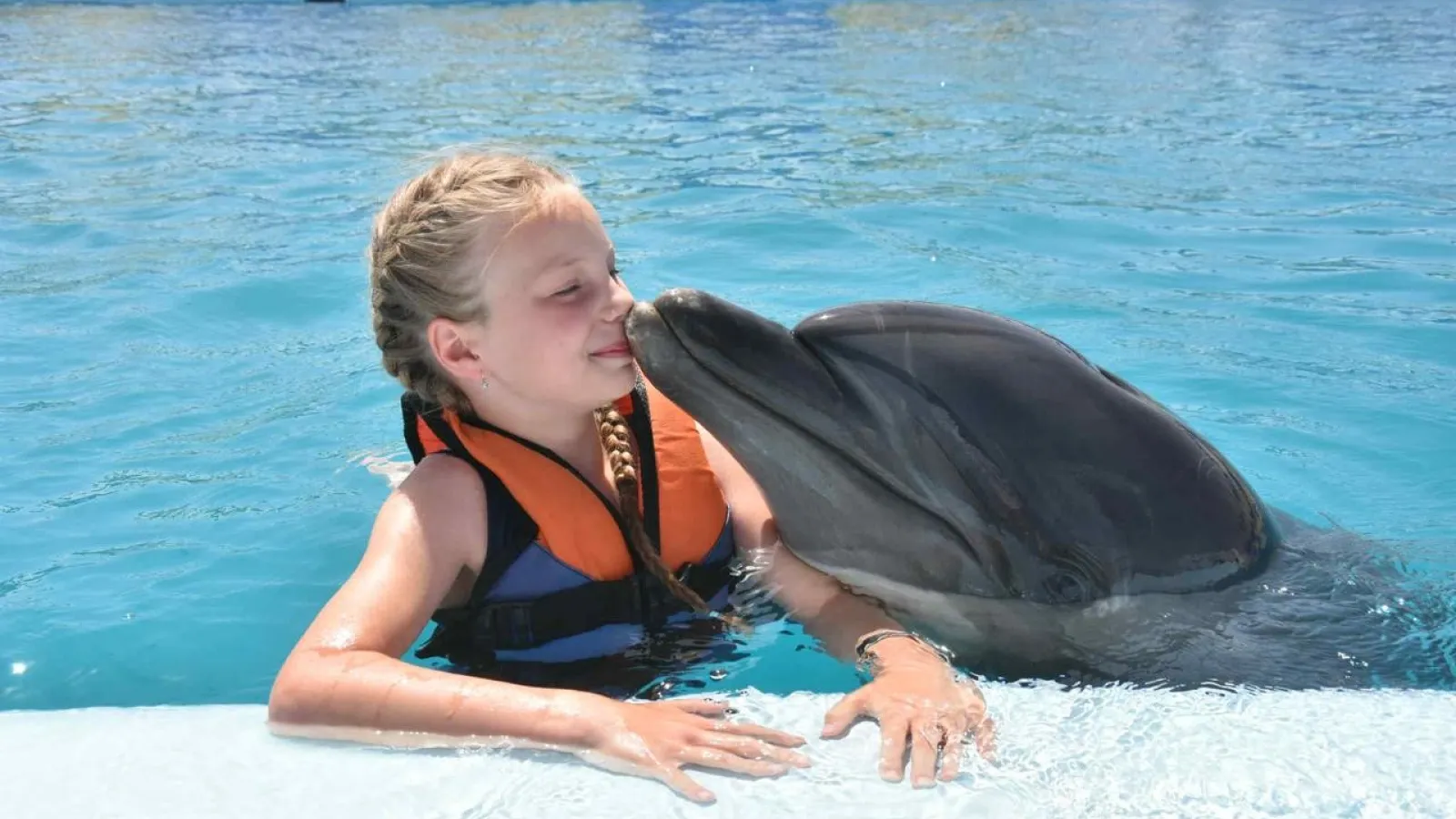 Dolphin kissing a young girl on the cheek at the dolphinarium pool near Hurghada